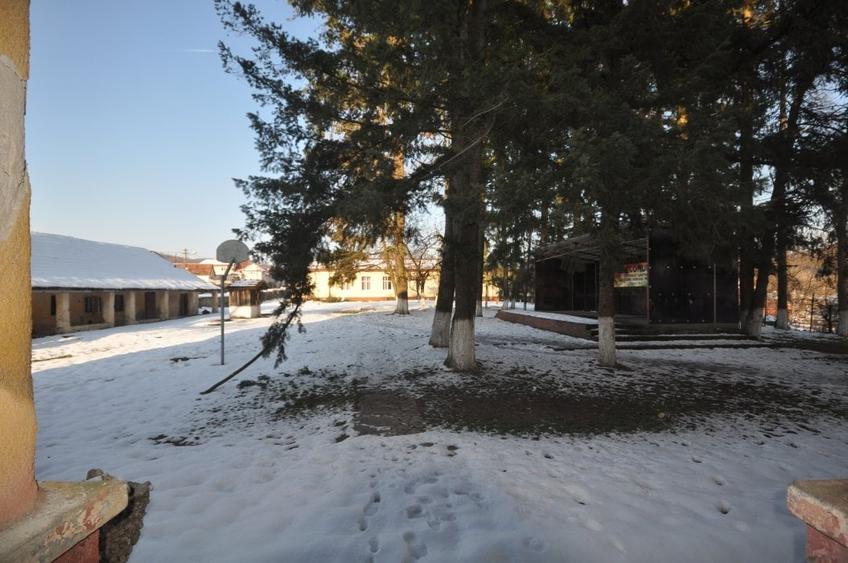 Conac apartinand lui Cicio POP, judet ARAD - 1