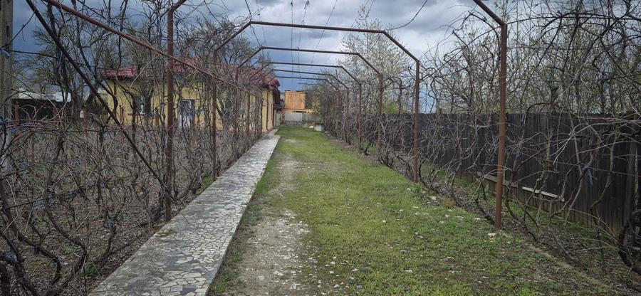 Oferta vand casa si teren 6500 mp in Mogosesti jud.Giurgiu - 5