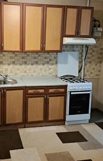 De inchiriat apartament 1 camera in zona Elisabetin - 1