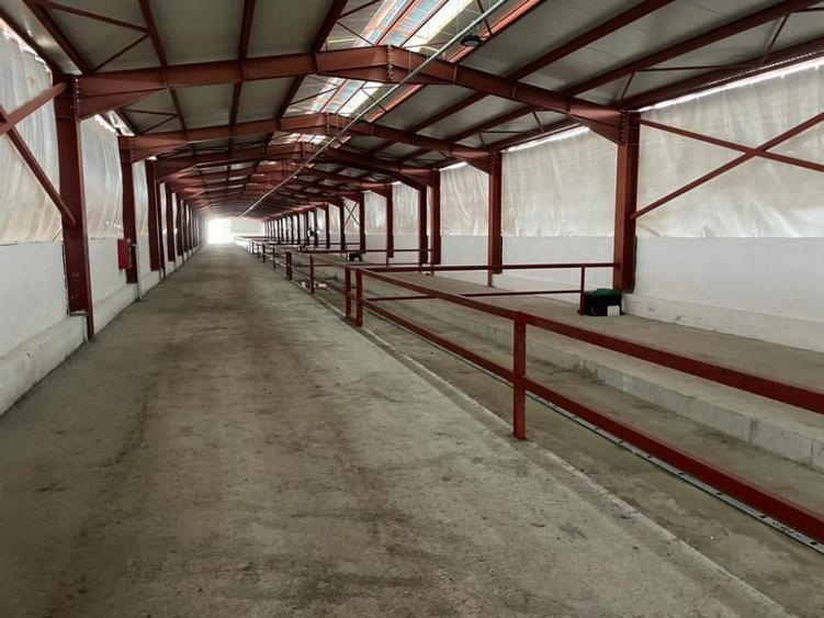 Ferma moderna  de vanzare – judetul Arges - 10