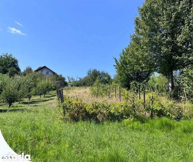 Teren intravilan - 1.248 mp + casa batraneasca 60 - 2