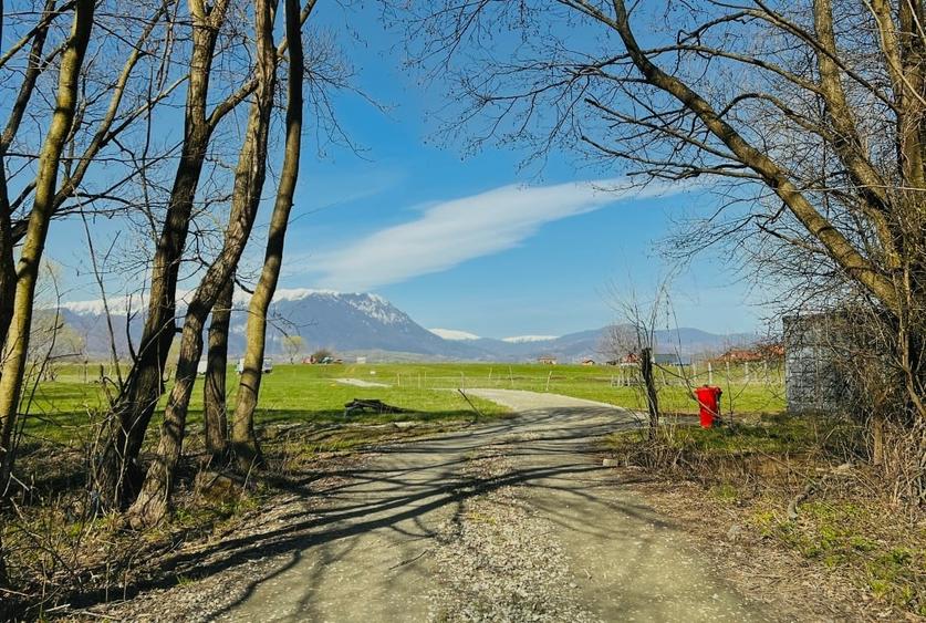 Teren intravilan Râșnov – Glejerie  5 parcele x 1000 mp  Capăt Str. Greierilor - 3