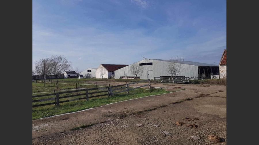 Ferma langa Oravita 5600 mp construiti si teren 24281 intravilan - 4