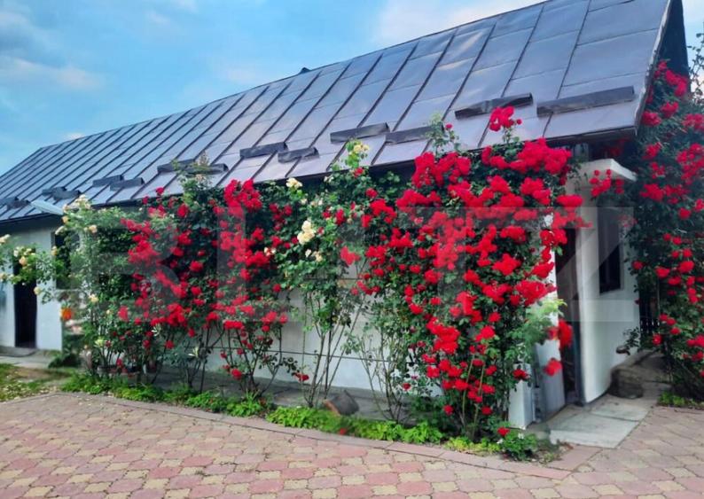 Vila cu Teren Generos si Livada La Sos. Principala Targovi? - 13