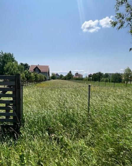 Teren intravilan ,2000 mp,Radauti - 4