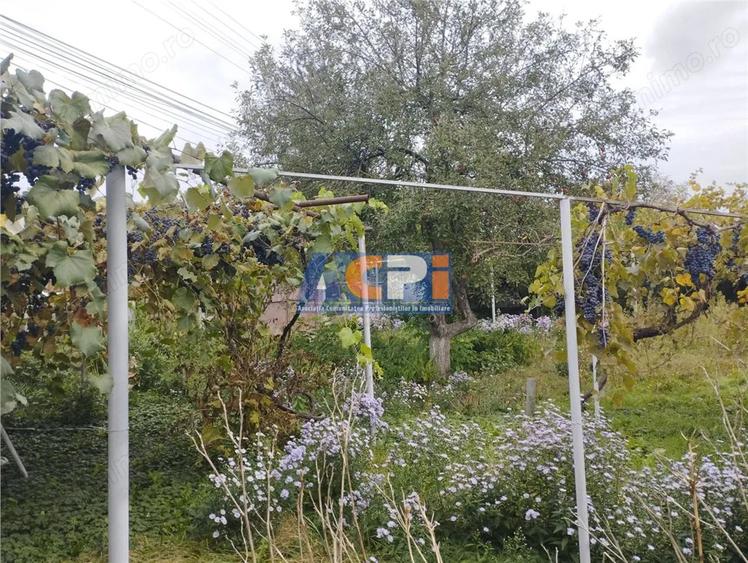 Casă cu 3 camere cu Teren 3886 Mp în Gârleni