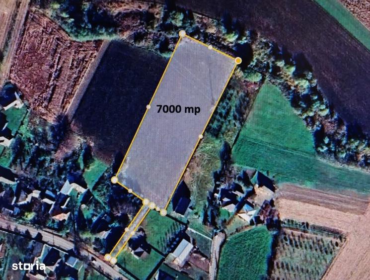 Teren de 7000 mp, în Boroaia