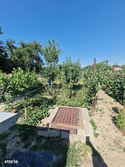 De vanzare casa batraneasca in Horia, teren de 700mp, 3 anexe, 55000e - 11
