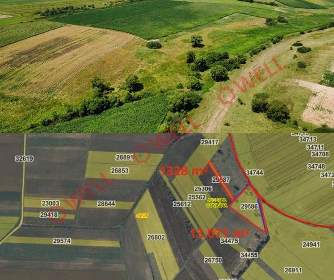 De vânzare 8 parcele de teren extravilan în apropierea localității Măgheruș! - 7