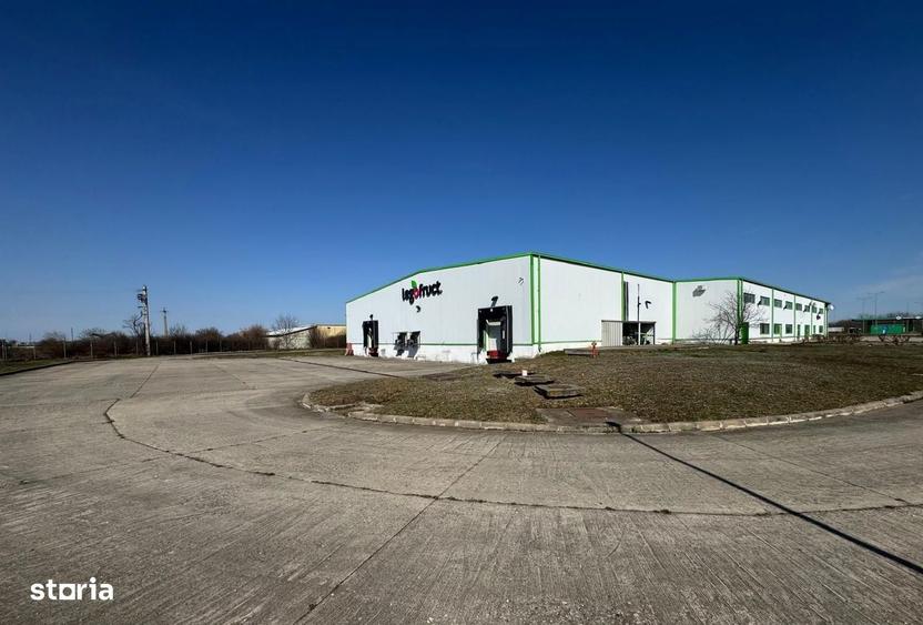 Hala productie/ depozitare frigorifica in Timisoara - 5
