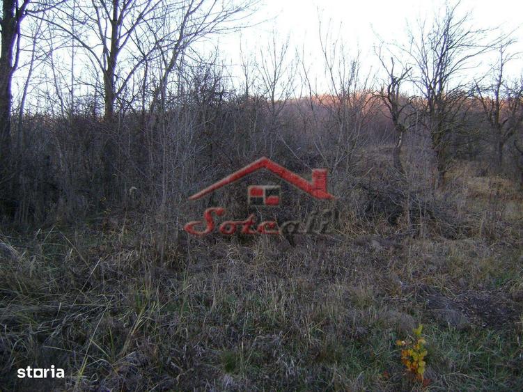 Teren de vanzare Cornu de Jos - 4