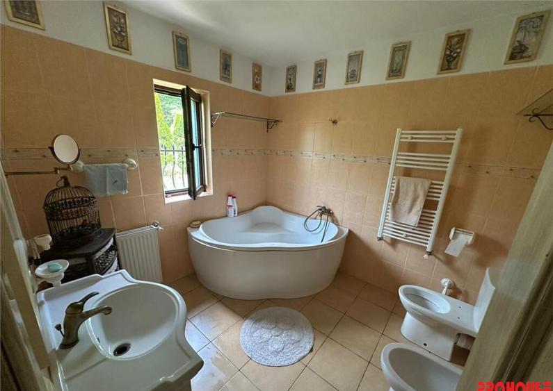 Casa deosebita in sat Podis - zona Dubas - 2