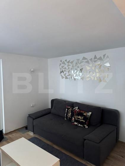 Casa de vacanta, 140 mp, 5 camere, jacuzzi, sauna, Buscat Ski/Muntele Baisorii - 10