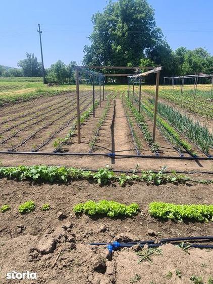 Apartament 3 cam 56mp+curte si gradina 503mp + parcare acoperita dubla - 2