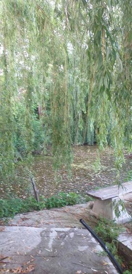 Vand casa cu teren intravilan 7347 mp in com. Stolnicieni Prajescu-Iasi - 3