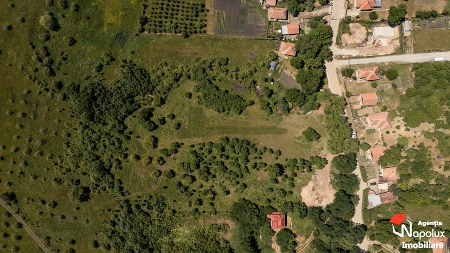 Exclusivitate! Teren pentru investitie - 3
