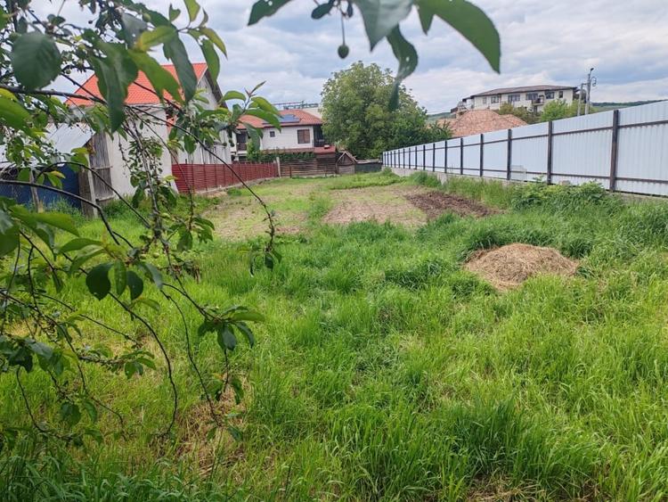 Teren pentru investitie, 700 mp, zona centrala, Avram Iancu. - 2