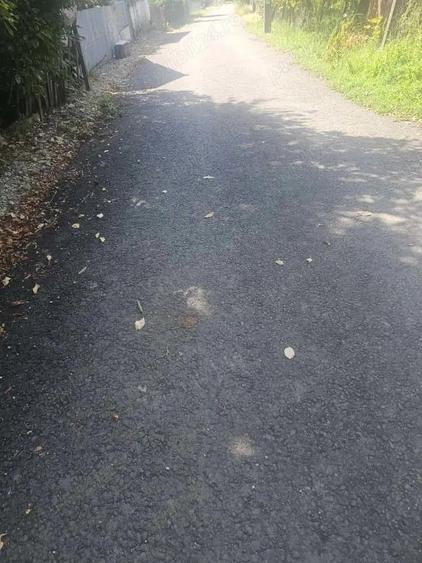 Teren de 1113 mp si casa batraneasca in comuna Mihaesti jude?ul Valcea - 2