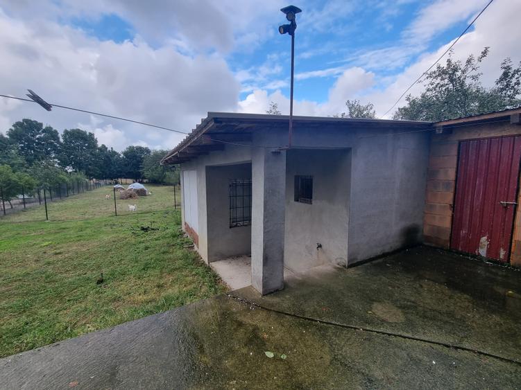 Oferta casa Dragsina P+M - 8