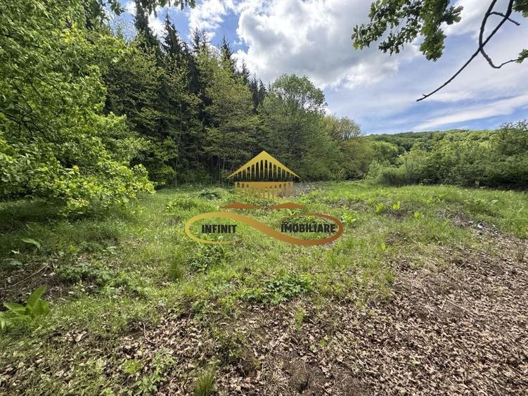 Teren intravilan | 3.128 mp INTRAVILAN | Luncani-de vanzare - 6