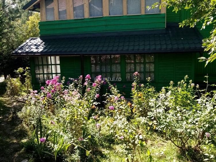 Valea Doftanei Tesila, Negrasi
