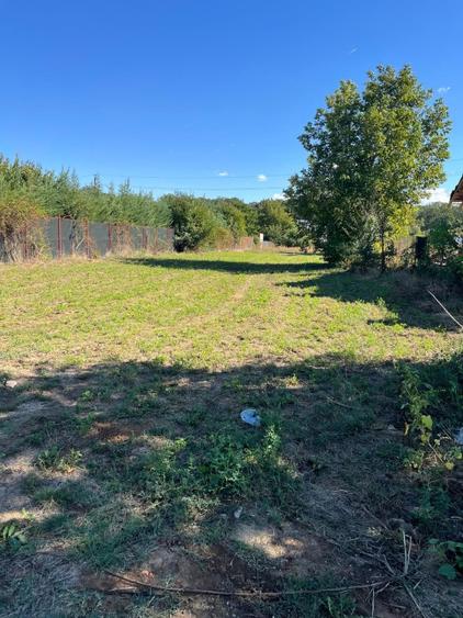 Teren de vânzare 1000mp Zona Astoria, Snagov - 2