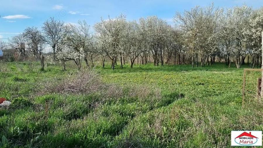 Casa cu teren 14,40 ari in Corod-Culciu jud Satu Mare - 2