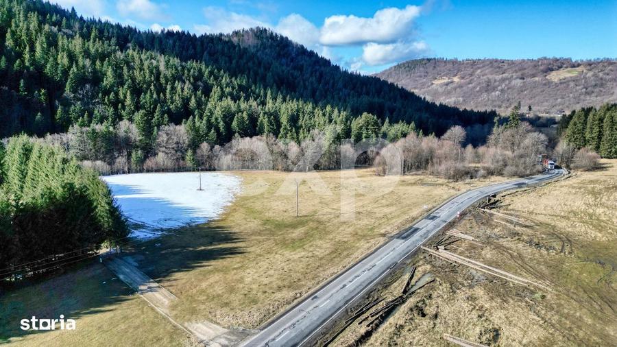 Teren extravilan 19.200 mp DN1A Sacele, Bradet | Front stradal 130 - 9