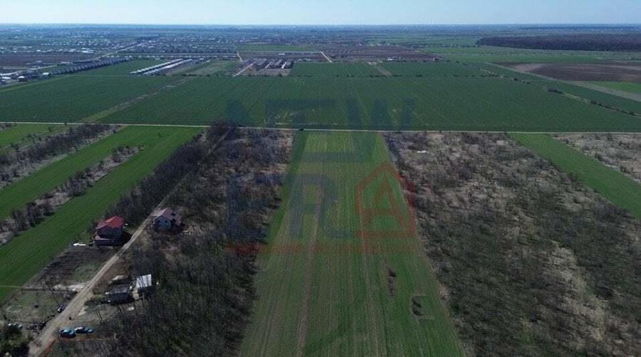 Teren de vanzare, Sabareni - 6