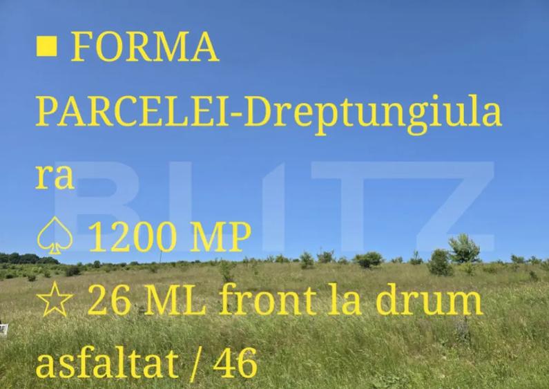 Teren intravilan construibil in Salicea - 7