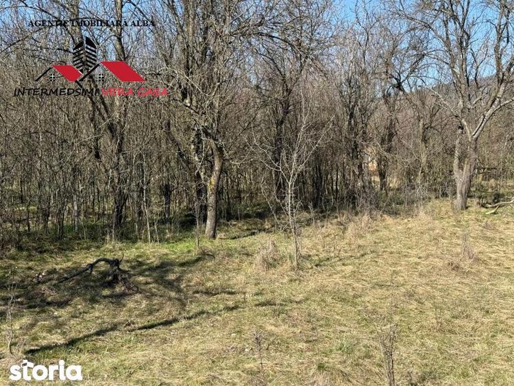 Casa si anexe cu un teren de 7701 mp de vanzare in Stauini Jud Alba - 17