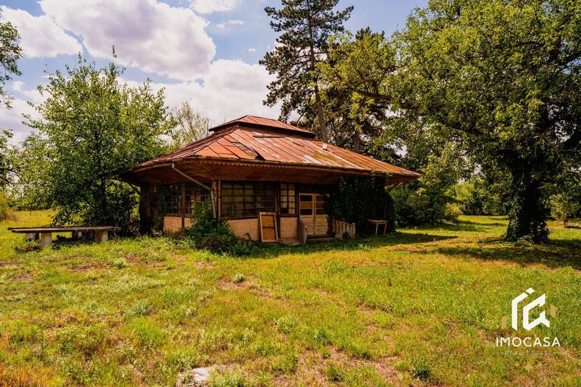 Vila Conac boieresc contelui Fabia 1920 de vânzare Păuliș Arad 2,4 ha - 8