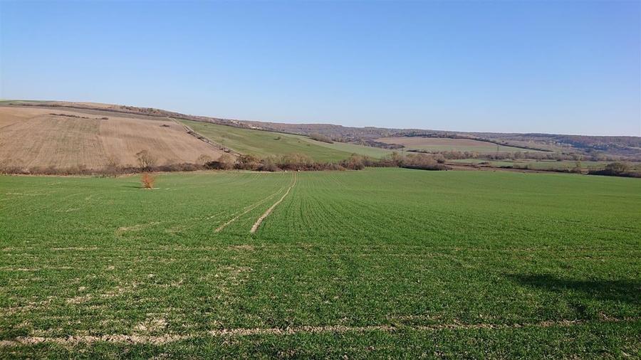 Vand teren in Santelec - 3