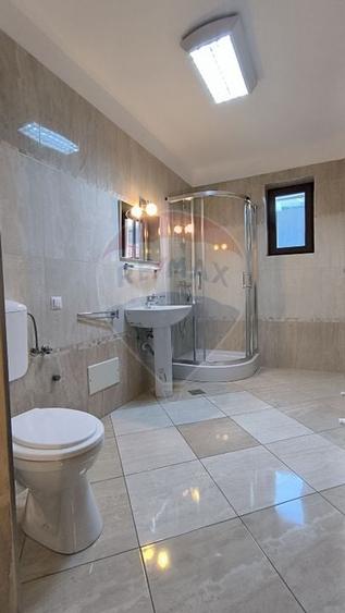 Casa de inchiriat Marasti - 19