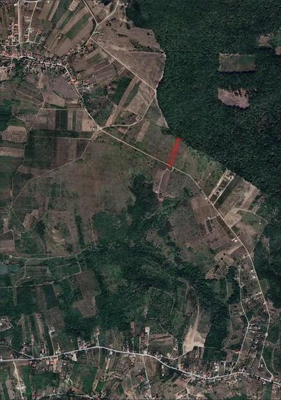 4040 Mp. teren INTRAVILAN - 80.800 - Sald. Munte - IMOBIHOR - 3