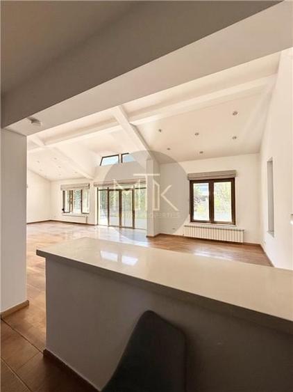 Vila Individuala Spectaculoasa cu Piscina, Erou Iancu Nicolae-Pipera - 15