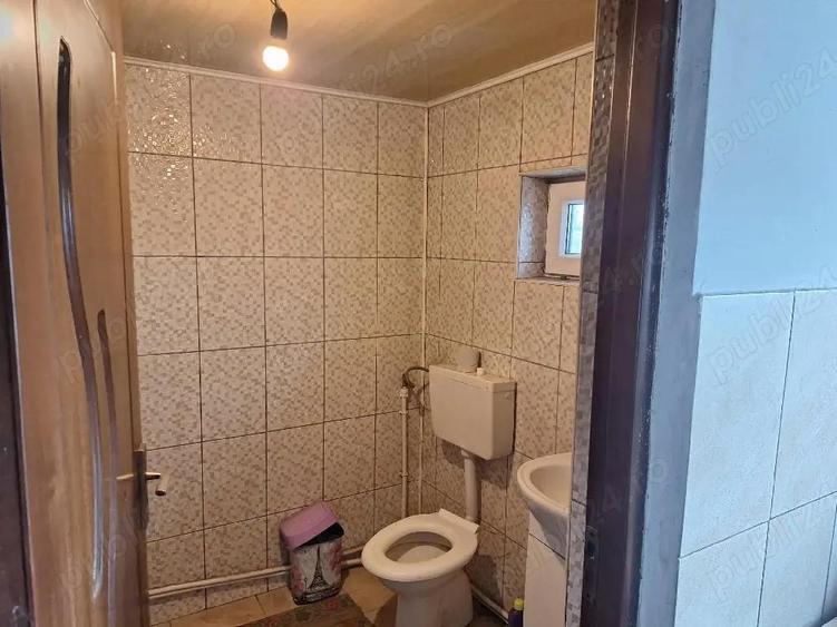 Casa 110 mp + 1000 mp teren Malu Ro?u (Arma?e?ti) 1 ora de Bucure?ti 31.000 - 2