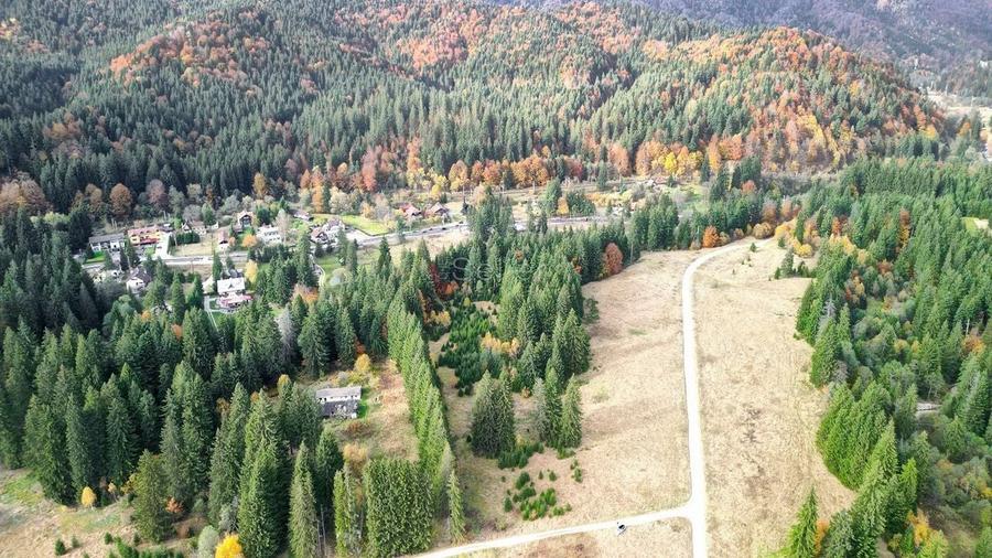 Poiana lui Manole - teren Intravilan - 26