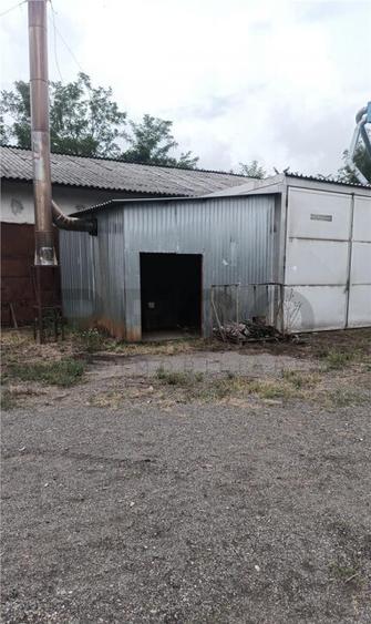 RECO Hale predestinate prelucrarea lemnului, loc. Auseu, sat - 4