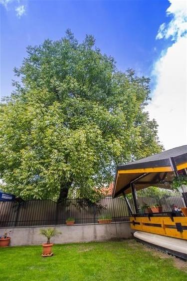 Rezidential/ comercial cu preluare profit - 13