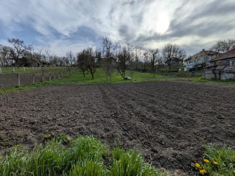 Vând teren+casă în comuna Sic - 5