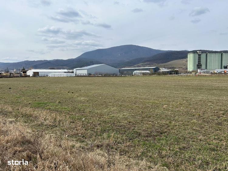 Terenuri imprejmuite si supravegheate video, de inchiriat! - 6