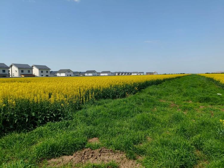 Teren 469 mp, Utilitati la Lot, Sistem de Rate - Avans 30% - 2