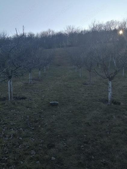 Casa de vanzare in Ora? Ludu?, str. Avrame?ti - 8