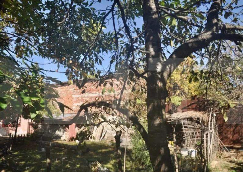 Vanzare Casa / Vila Giroc / Fratelia - 3