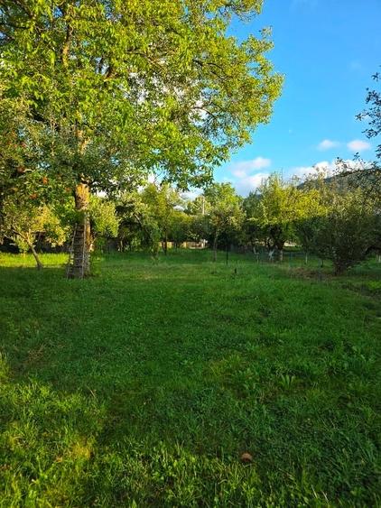 Teren 2500 mp – POTENȚIAL BUSINESS / DEZVOLTARE – Breaza - 6