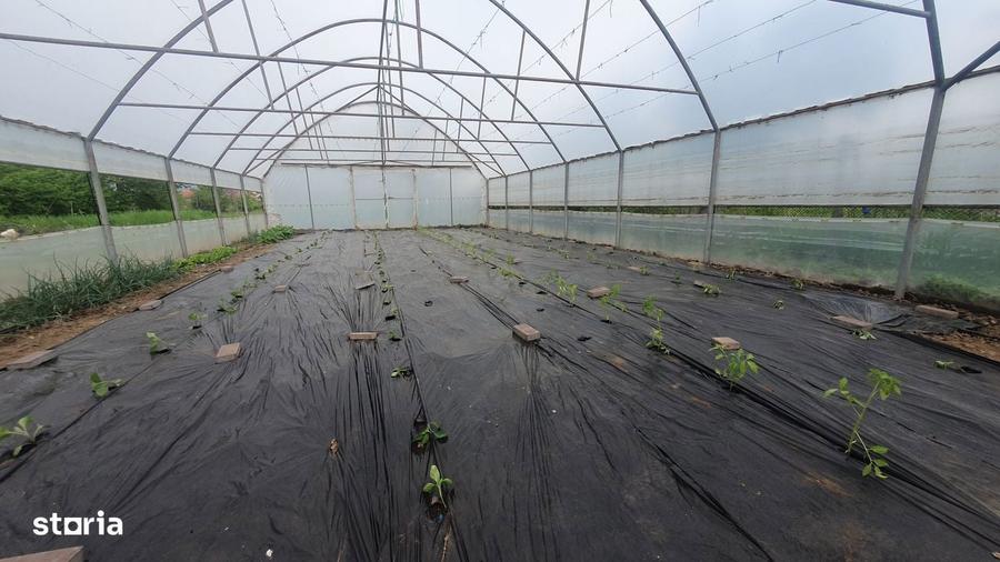 PROPRIETAR, Vand casa in ora?ul Piatra - Olt, jud. Olt - 15