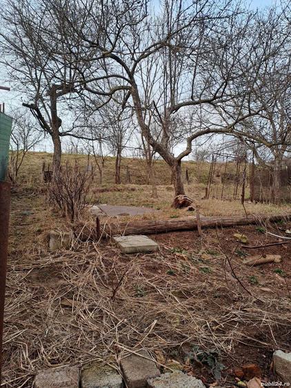 Casa la rosu de vanzare in Codlea - 5