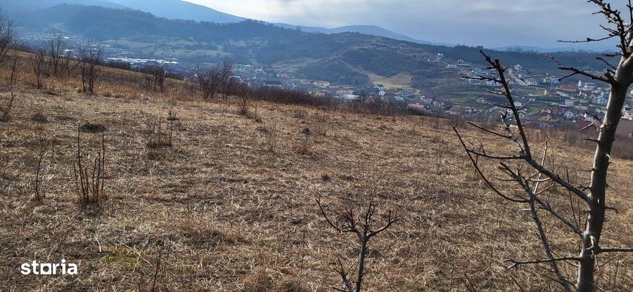 Teren Intravilan 43Ari zona Ortelec-Zalau intre case 4800eur/ar - 8