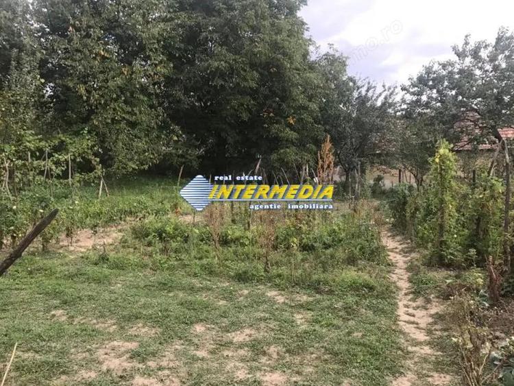 Casa in Cricau cu 3 camere de vanzare teren de 1300 mp - 1